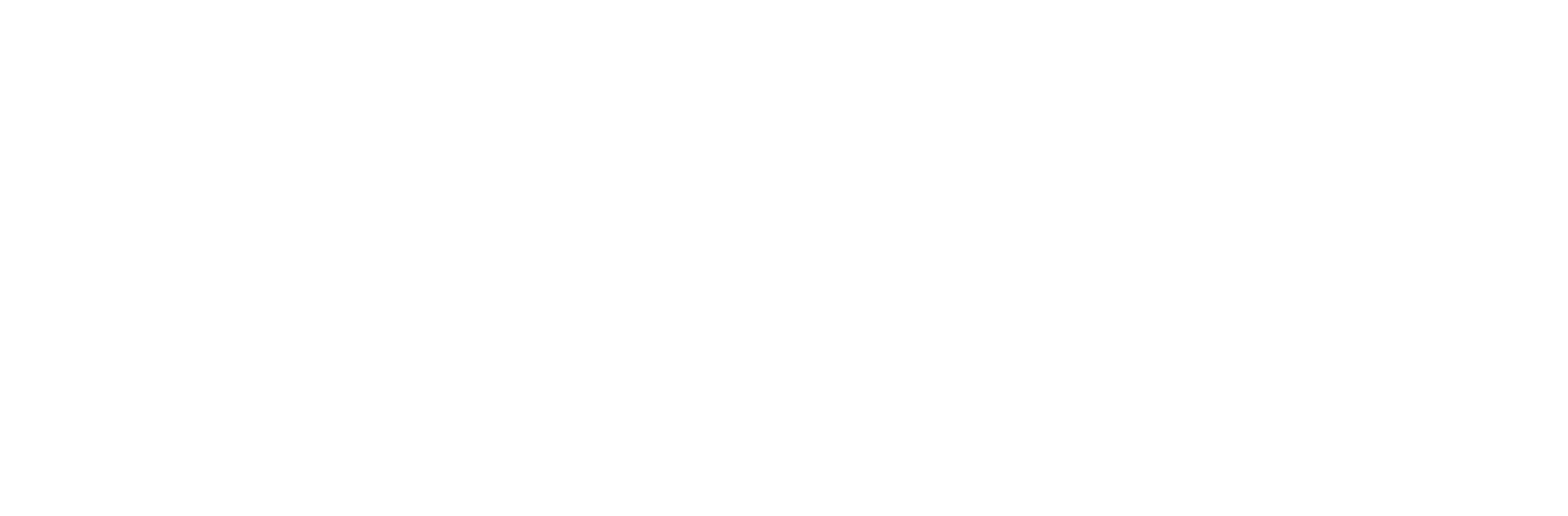 Akasa Airline